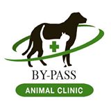 Veterinarian in Richmond, KY | By-Pass Animal Clinic